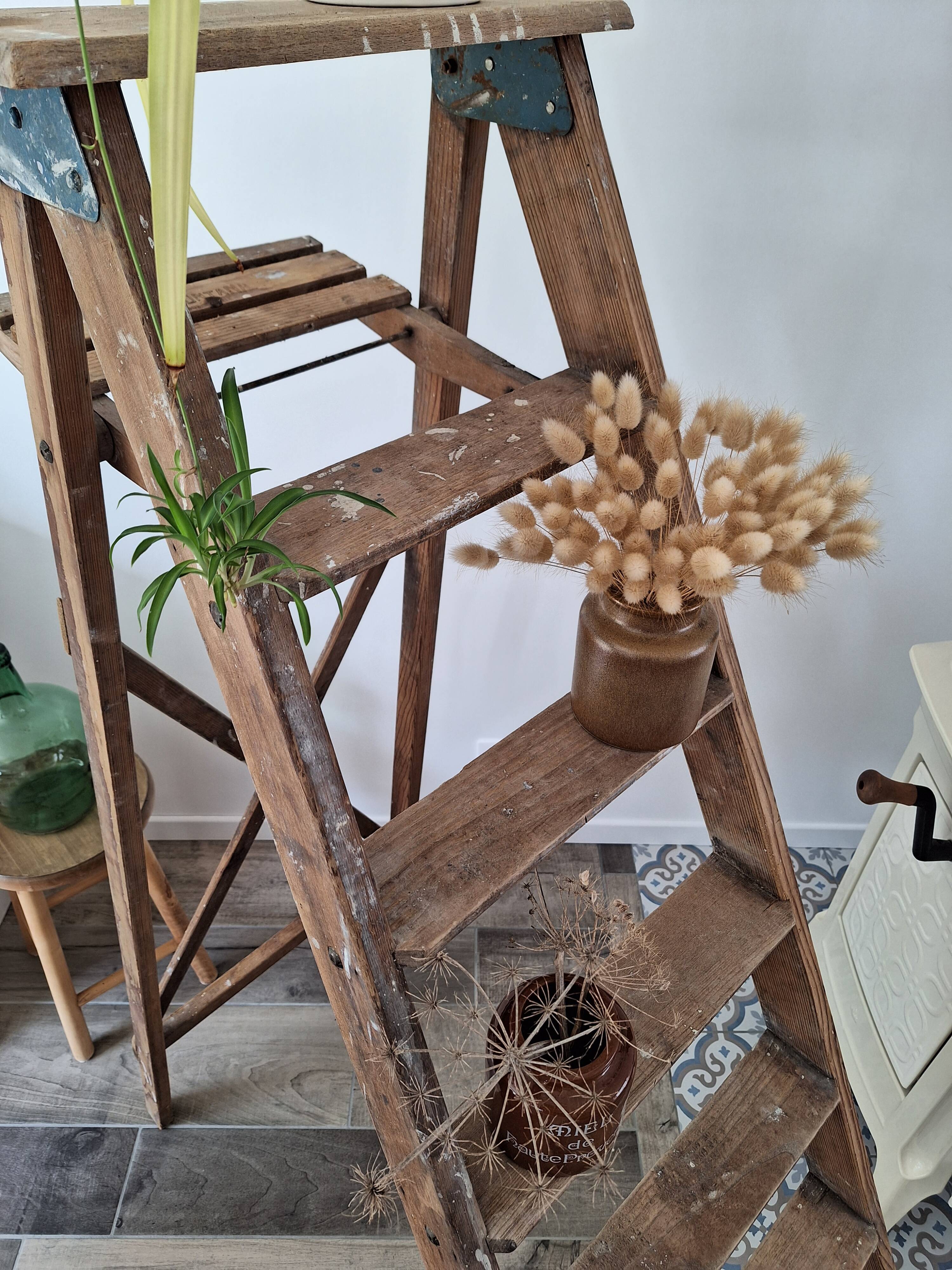 Montana painter's stepladder