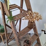 Montana painter's stepladder