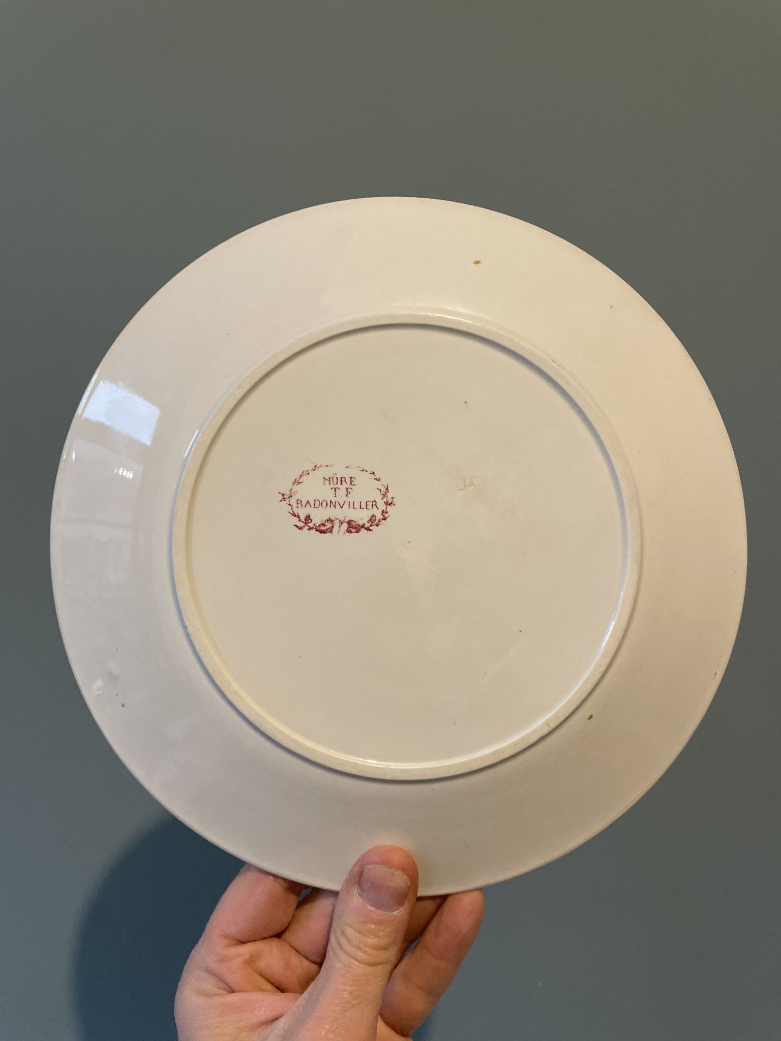 Set of 4 old flat plates Terre de Fer, earthenware of Badonviller