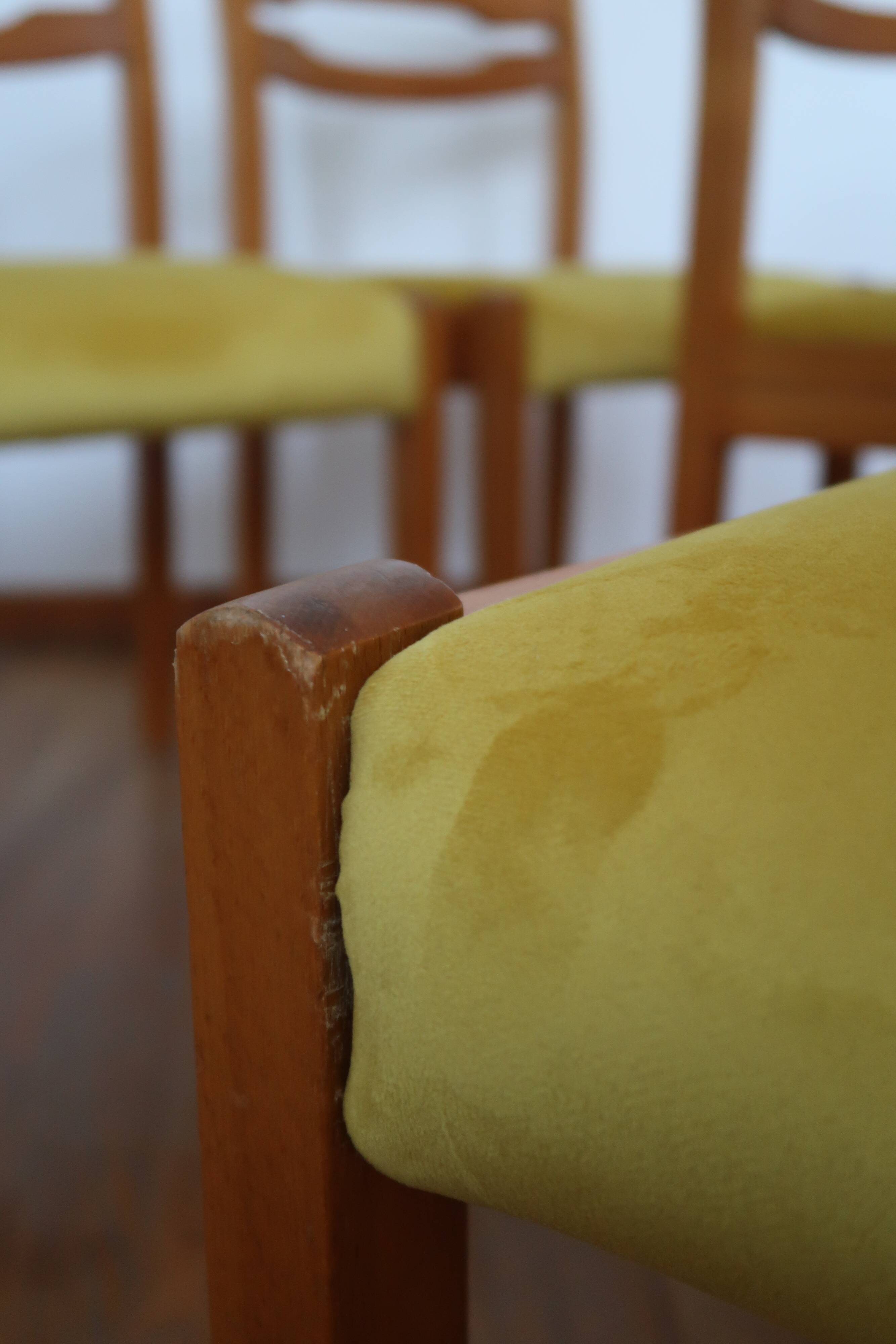 6 chaises velours jaune