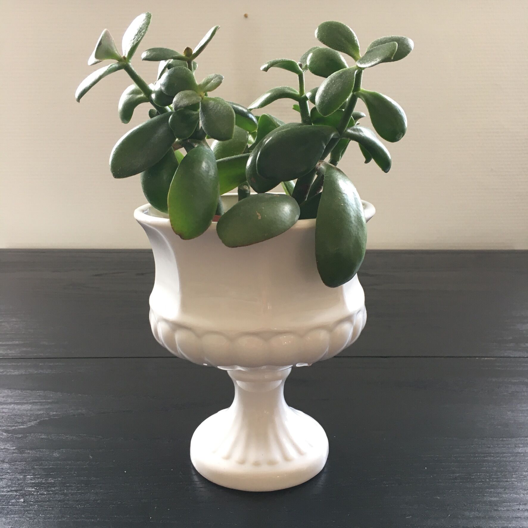 Medici style white vase