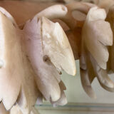 Large alabaster bowl Italy around 1900