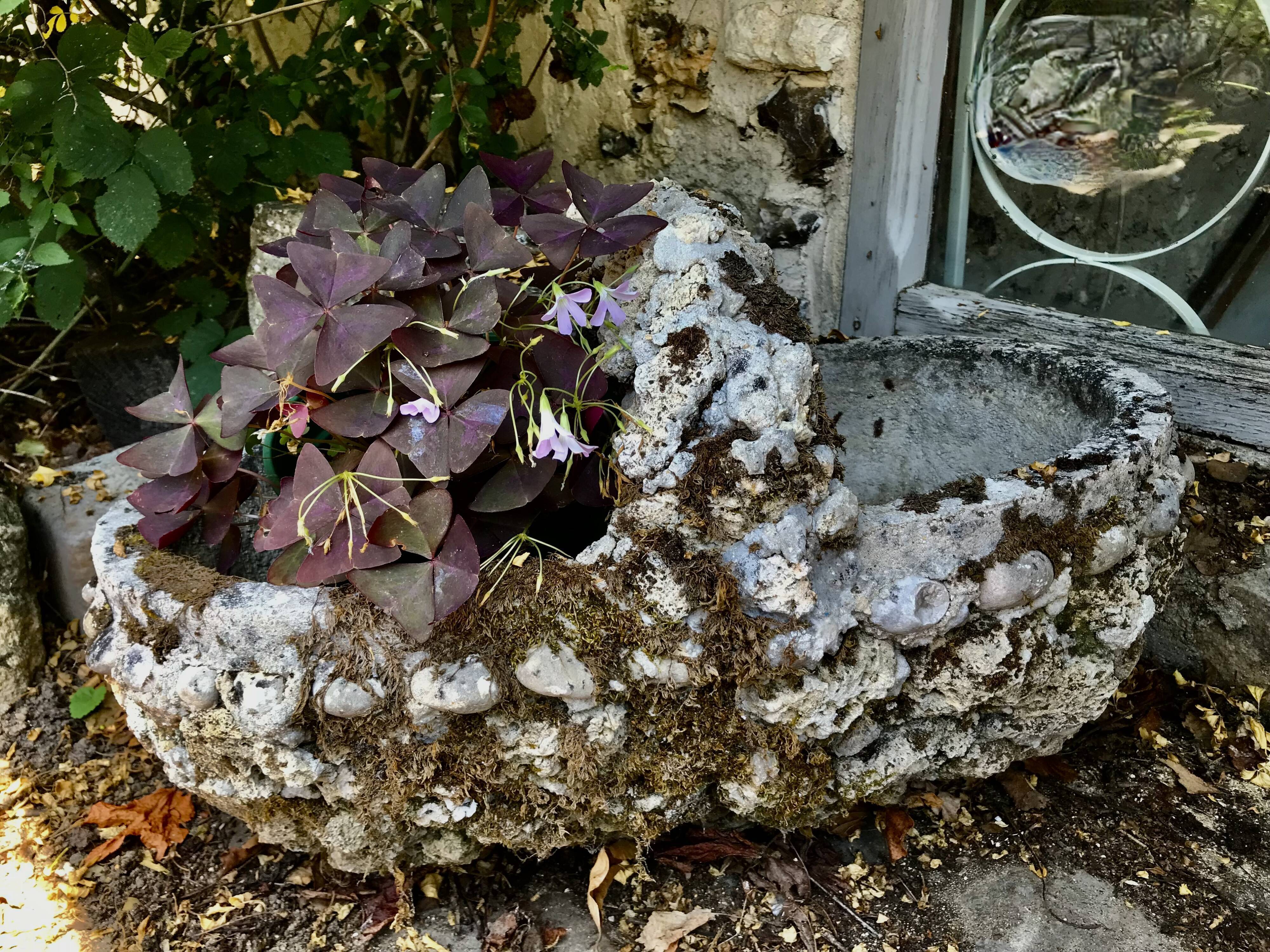 Jardinière panier en ciment, vers 1950