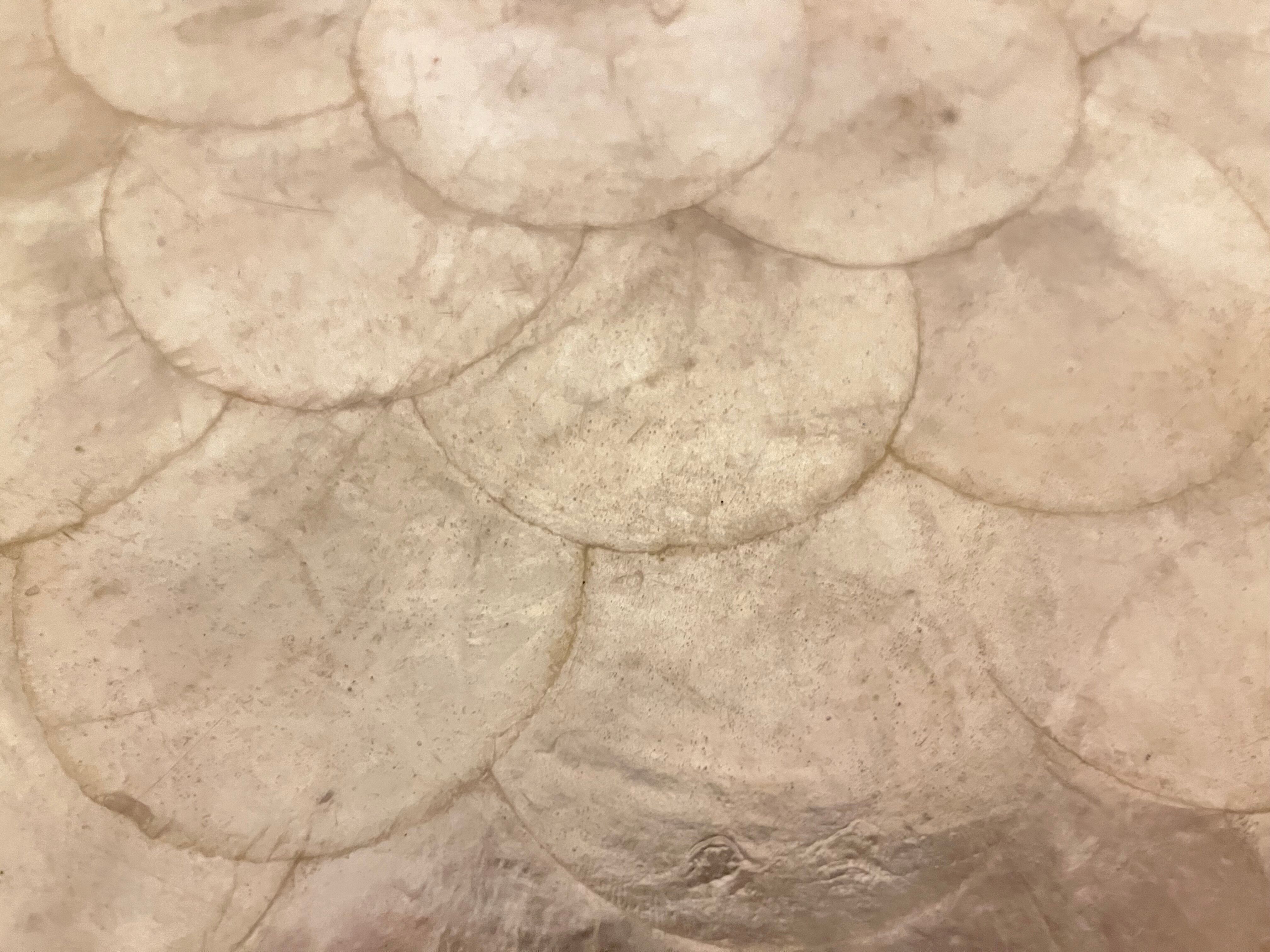 Vintage genuine mother-of-pearl top
