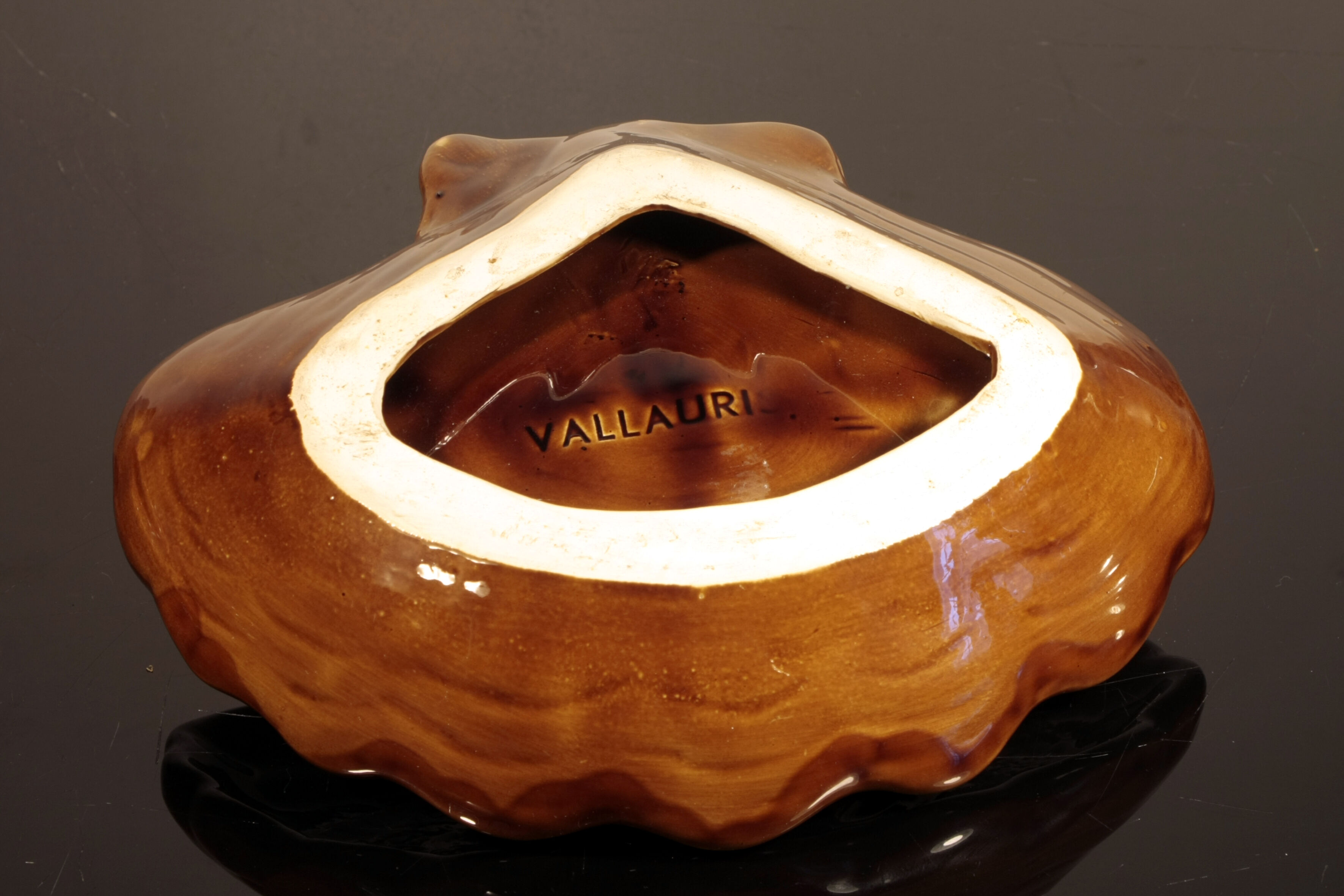Vallauris coquillage