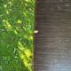 Tabourets de bar contemporain