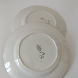 Duo of K & G Lunéville plates, Chantilly model