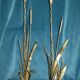 Pair of Golden Metal Lamps Reeds Work circa 1960 1970 Hollywood Regency