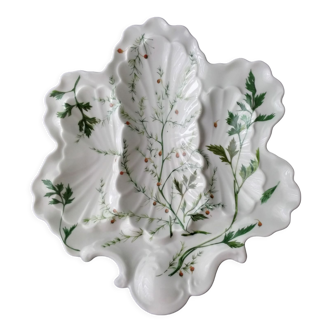 Coupe compartimentée en porcelaine de Limoges. Décor de plantes aromatiques