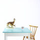 Table de ferme en bois blanc et turquoise tchécoslovaque, années 1950