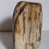 Free form sculpture in fossil wood