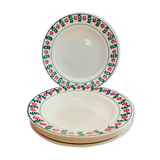 X5 hollow plate with green and red flowers -ceranord-made in france
