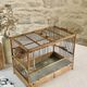 Birdcage