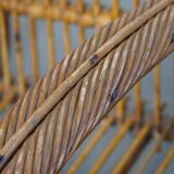 French Rattan Vintage Design Armchair from the 1950s