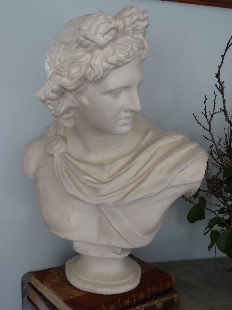 Plaster bust in the antique Apollo of the Belvedere, 70 cm