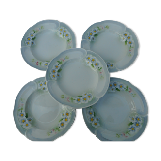 Set of five hollow earthenware plates