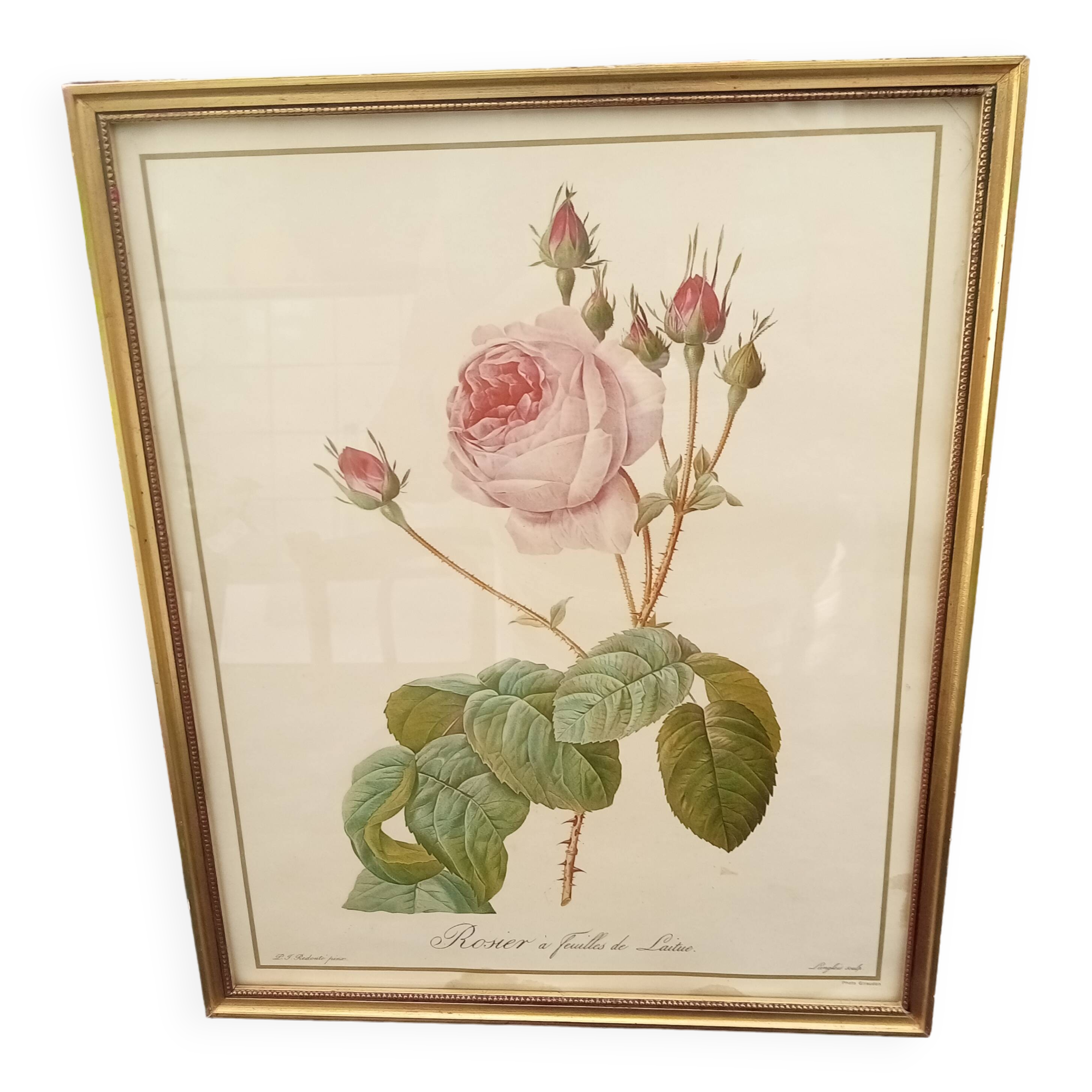 Redouté botanical board