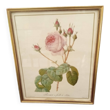 Redouté botanical board