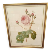 Redouté botanical board