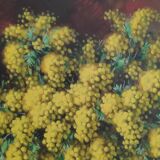 Oil on canvas by Alfio Graziani