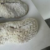 Pair of Fungia "shark cushion" corals