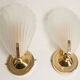 Paire d'appliques murales coquillages verre murano et laiton 1960