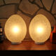Pair of lamps "egg" - Egg lamps 70s-80s design Ben Swildens