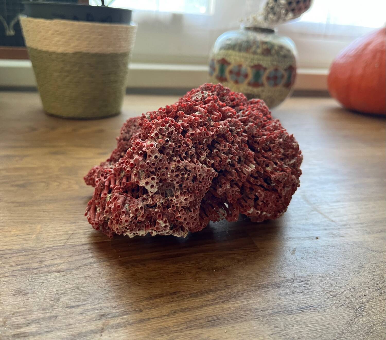 Red coral
