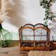 Cage à oiseaux en bois, XIXème s.