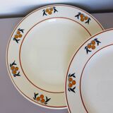 4 flat plates in iron earth of the Salins model Mimosa 210738