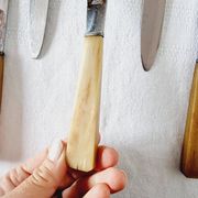 12 antique knives with edgeless resin handle and stainless steel metal