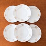 6 antique Bavarian porcelain plates by Seltmann Weiden