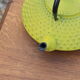 Old cast iron teapot