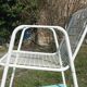 4 armchairs EMU model Rio Italian vintage 2 red and 2 white