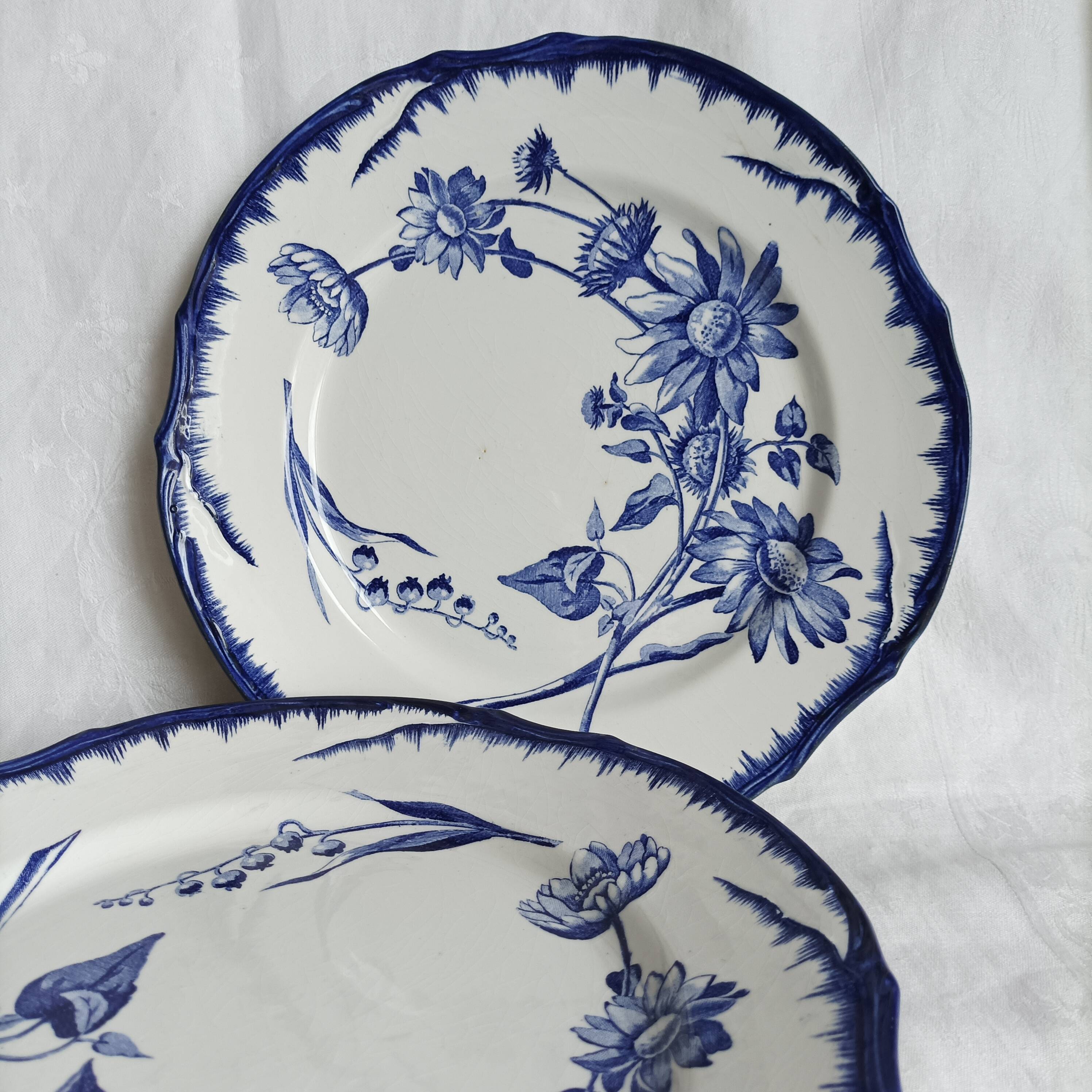 6 antique plates Creil & Montereau Sunflower model blue – 19th century