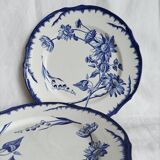 6 antique plates Creil & Montereau Sunflower model blue – 19th century
