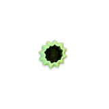 Cactus Vase By Asa Selection