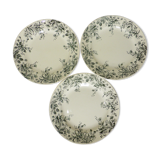 3 plates served in HBC Terre de Fer