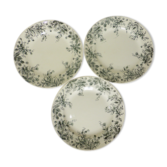 3 plates served in HBC Terre de Fer