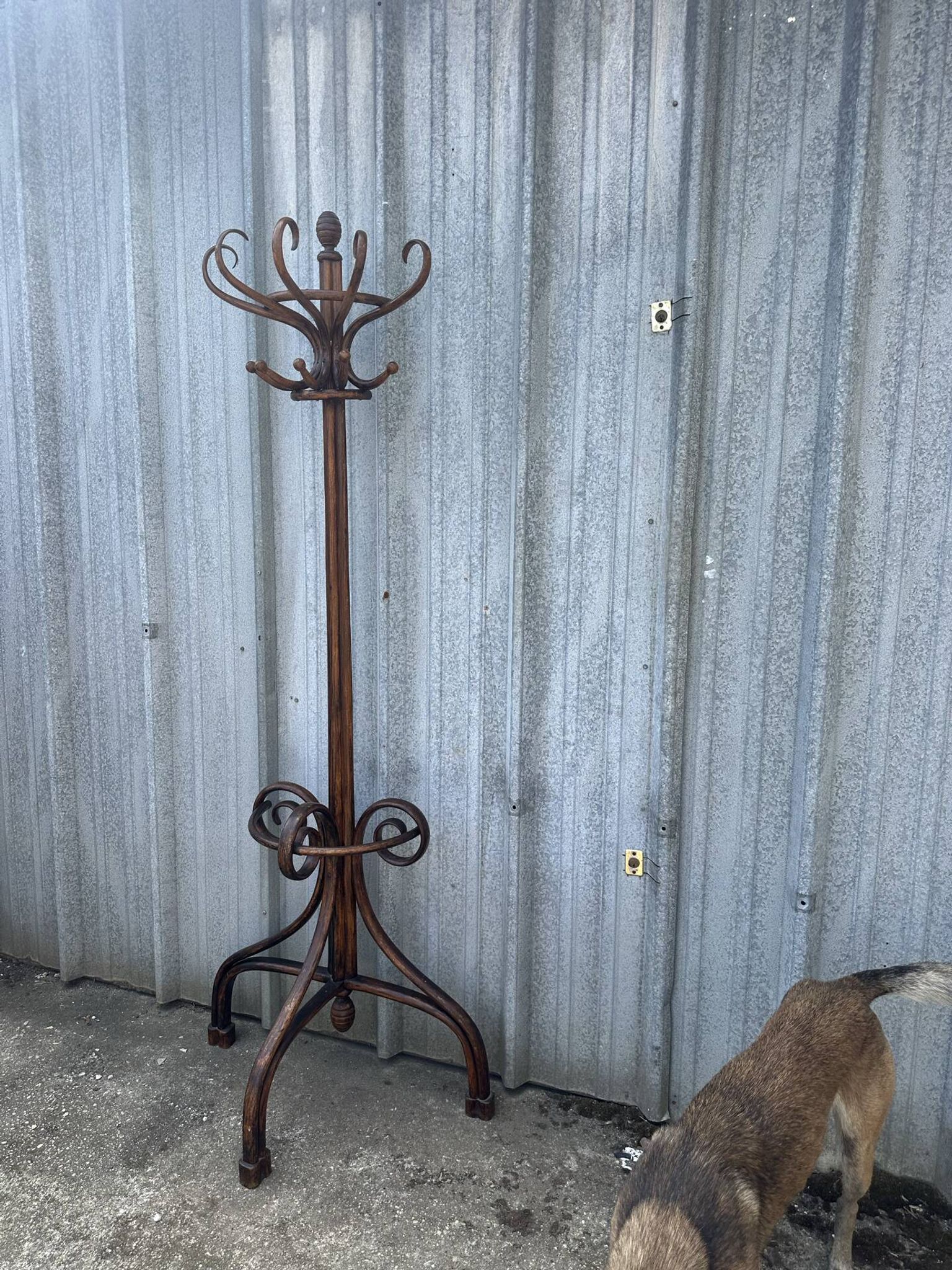 Coat rack umbrella stand curved wood