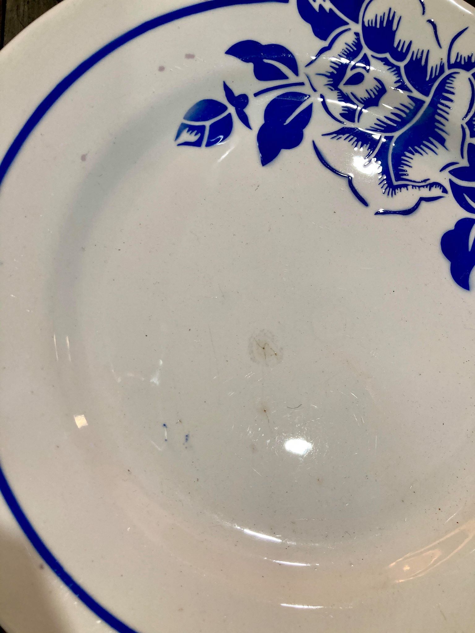 Blue Digoin Sarreguemines Plates