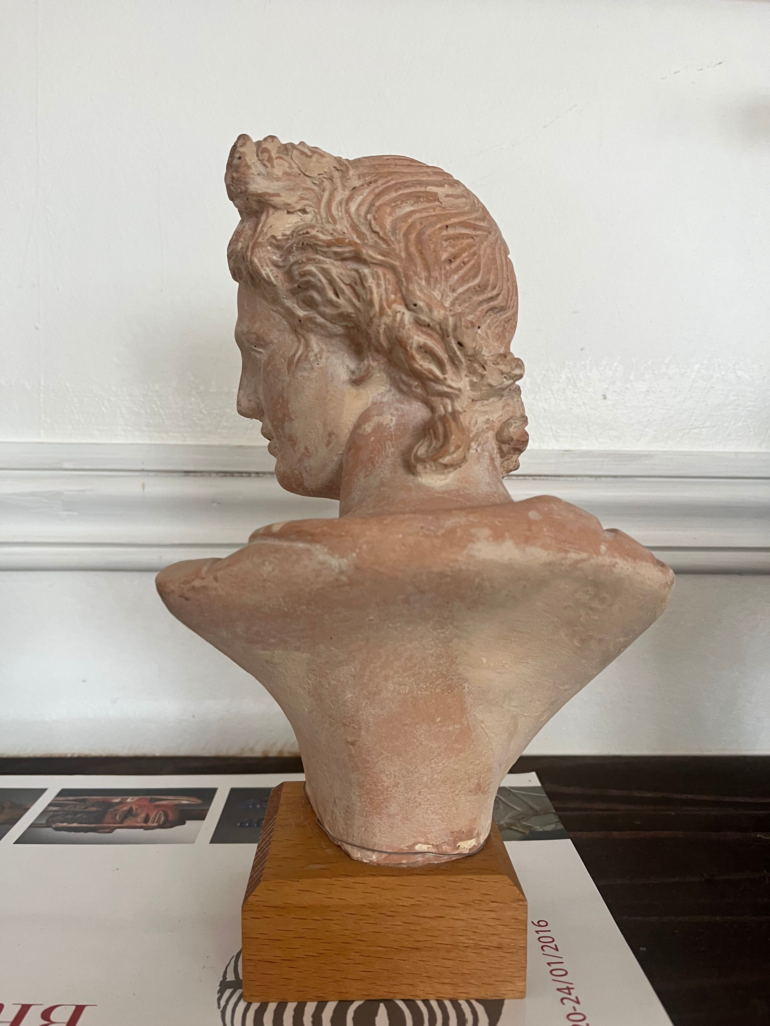 Terracotta bust of Apollo