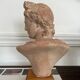 Terracotta bust of Apollo