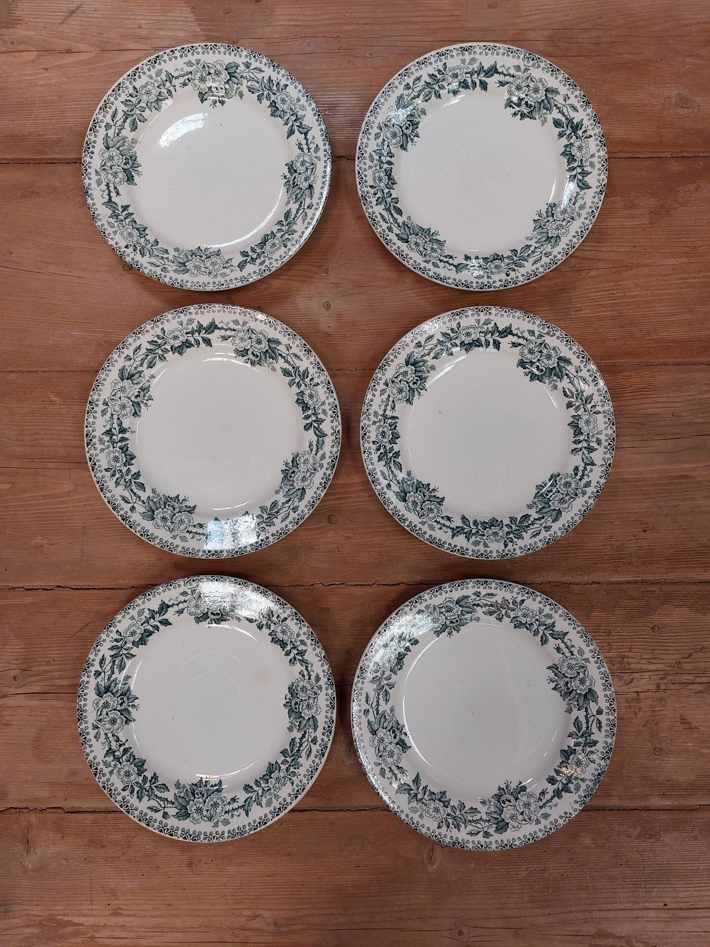 6 flat plates in ironstone - Guadeloupe model