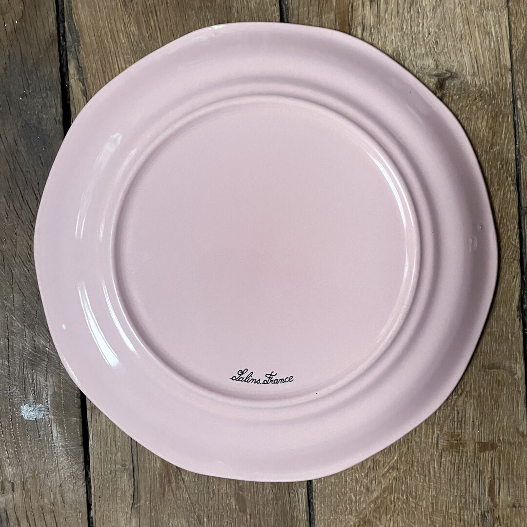 Lot de 10 assiettes et 1 plat