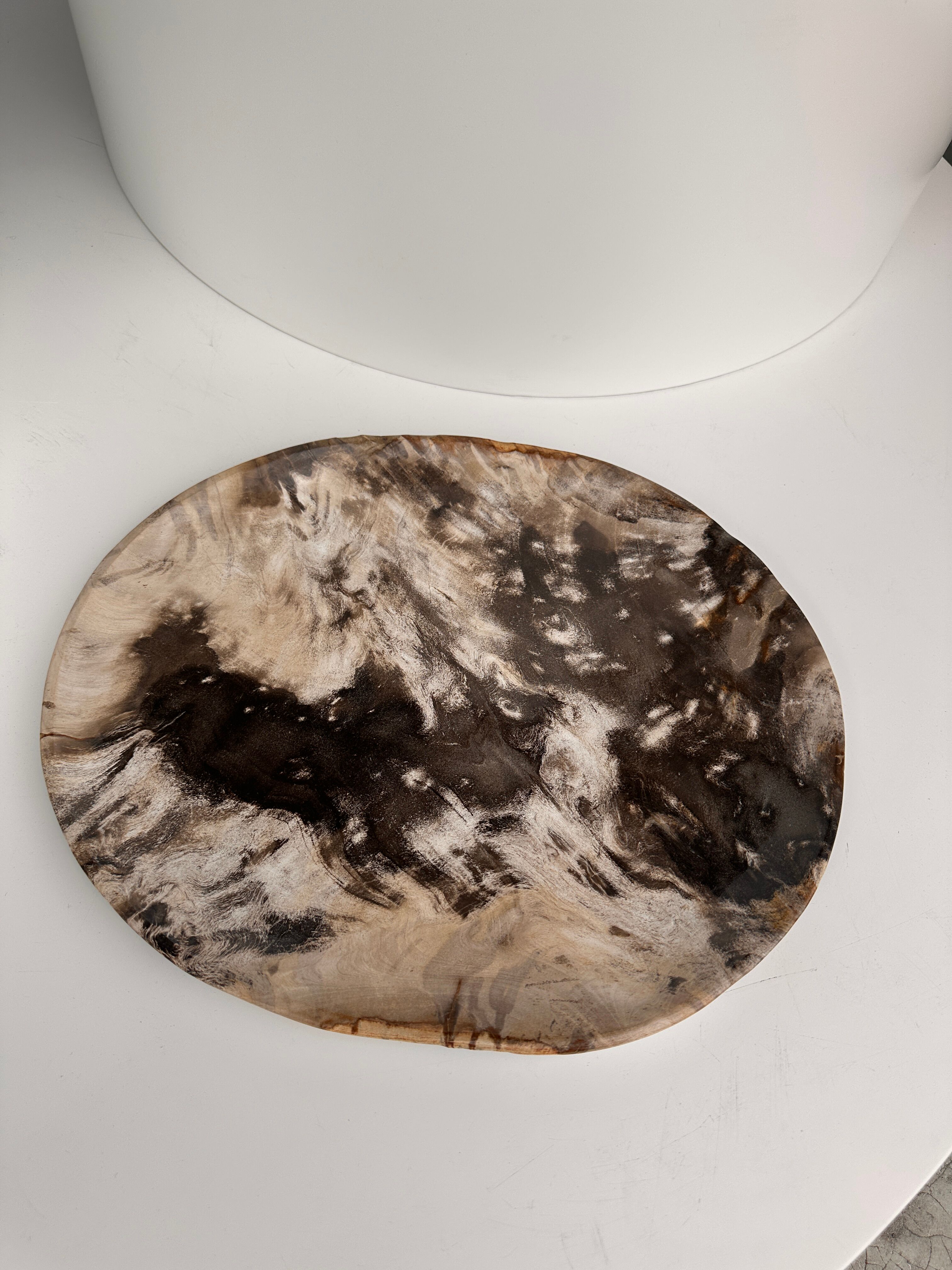 Very large empty pocket or petrified wooden flat