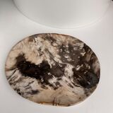 Very large empty pocket or petrified wooden flat