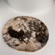 Very large empty pocket or petrified wooden flat