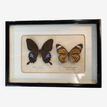 Vintage stuffed butterfly