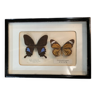 Vintage stuffed butterfly